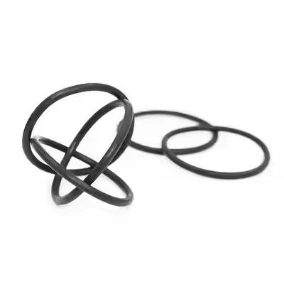 1095885 O-rings da Bomba de Revestimento em Pó Tribo Gen II Polidas Suporte OEM Personalizado