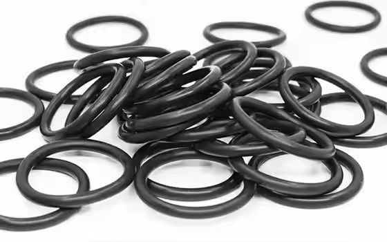 1095885 O-rings da Bomba de Revestimento em Pó Tribo Gen II Polidas Suporte OEM Personalizado