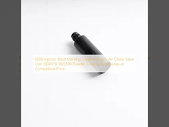 IG06 Injector Black Marking Supplementary Air Check Valve Unit 1004370 1005590 Acessórios de revestimento em pó a preços competitivos
